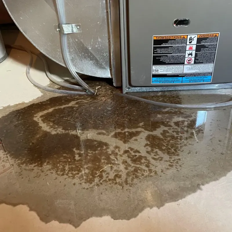 Pipe Burst and Leak Restoration in Meggett, SC