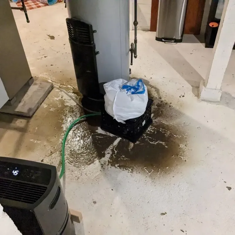Sewage Backup Cleanup Service in Meggett, SC